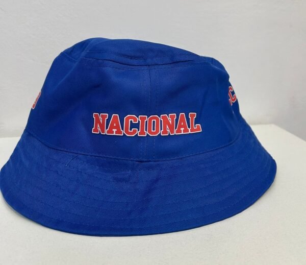 Gorro Canchero Azul - Imagen 3
