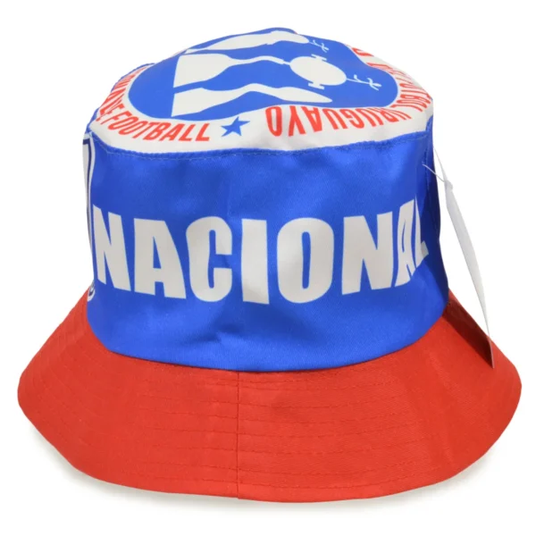 Gorro Canchero Tricolor - Imagen 2